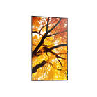 Sharp MultiSync M502 50 inch Large Format Display product image
