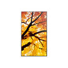 Sharp MultiSync M752 75 inch Large Format Display Front View product image