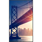 Sharp MultiSync ME502 50 inch Large Format Display product image